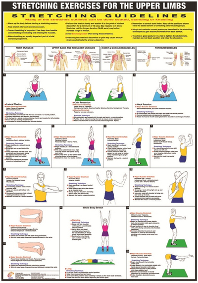 Stretching Charts - Set Of 3 