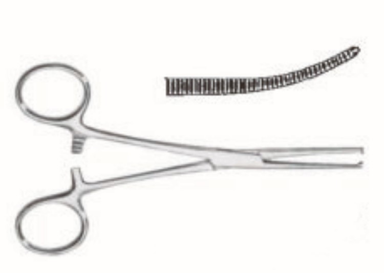 Kochers 5 1 2 Curved Artery Forceps 