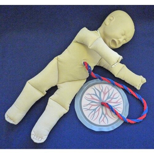 ESP Foetal Doll With Placenta | HCE