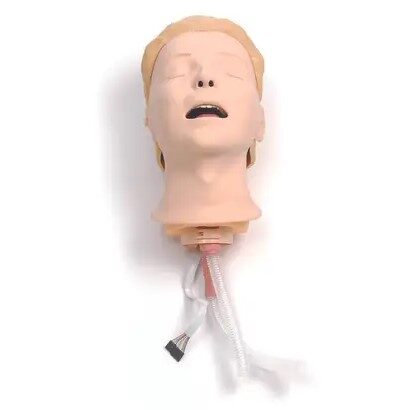 Resusci Anne Simulator/Advanced SkillTrainer Airway Head | HCE